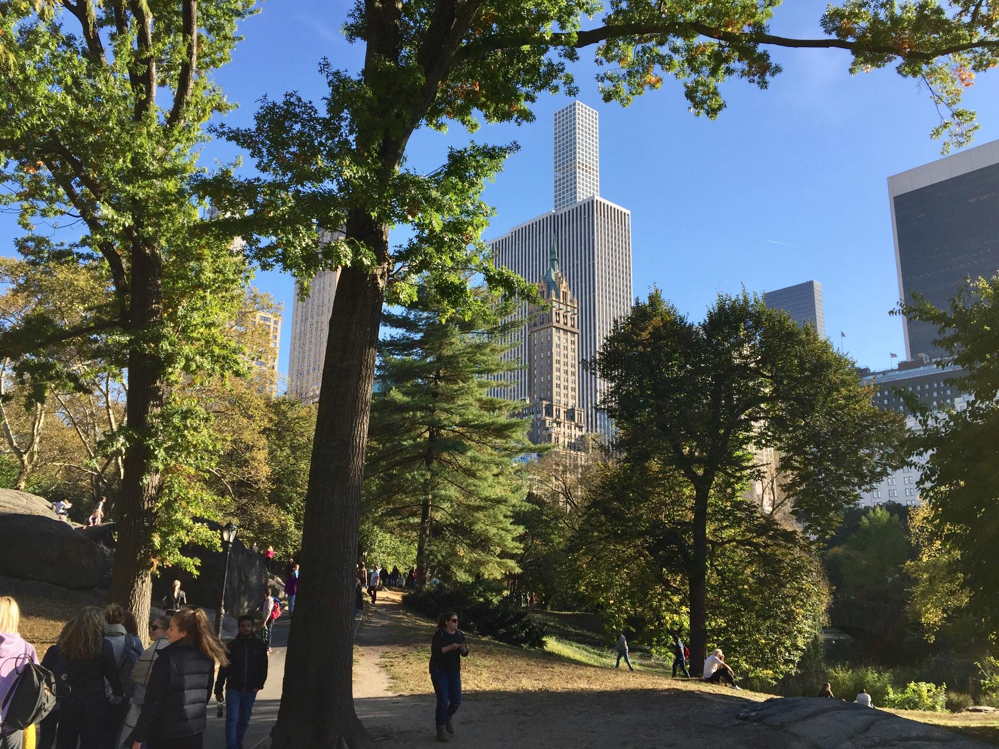 People walk on a park path, framed by trees and distant city skyscrapers.