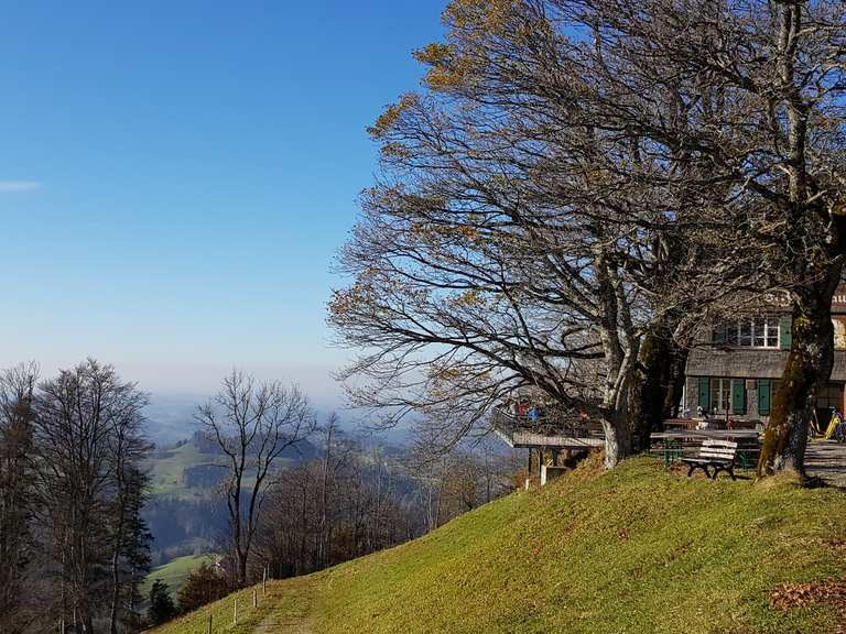 Hörnli Wanderungen und Rundwege komoot