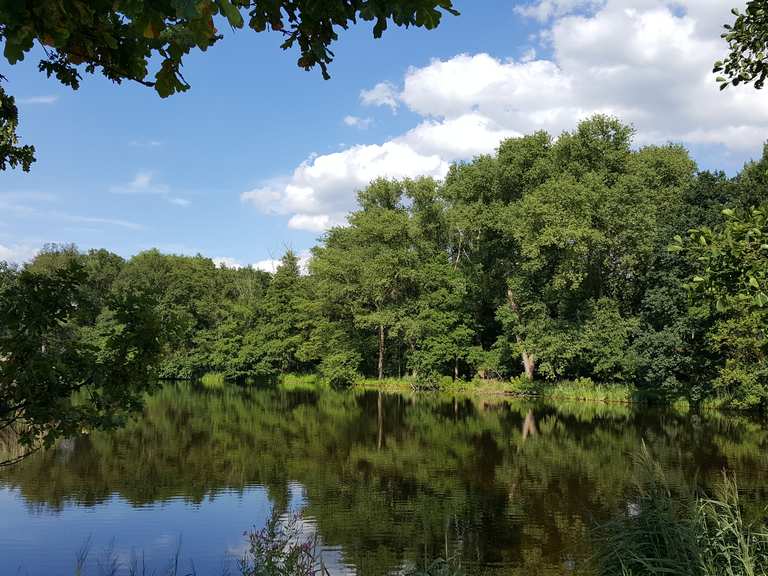 Karpfenteiche Buch: Wanderungen und Rundwege  komoot