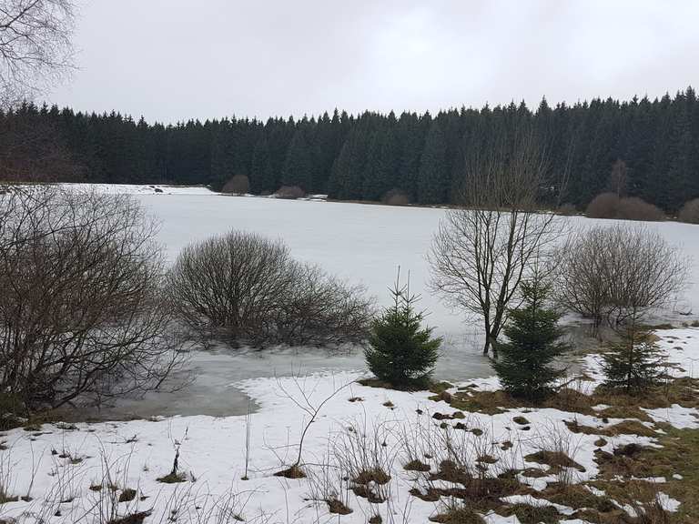 Zankwieser Teich Altenau, Goslar Wandertipps & Fotos Komoot