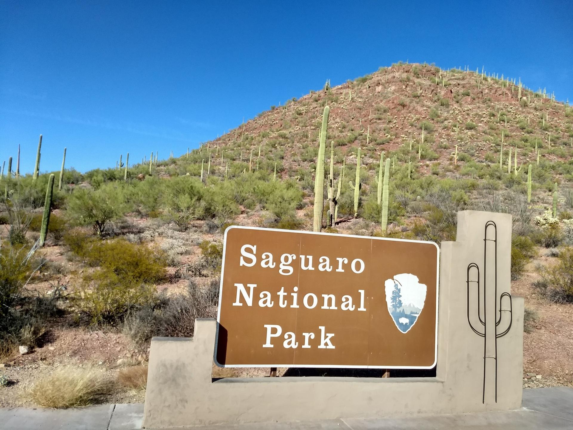 A brown sign with text, backed by a desert hill covered in saguaro cacti.