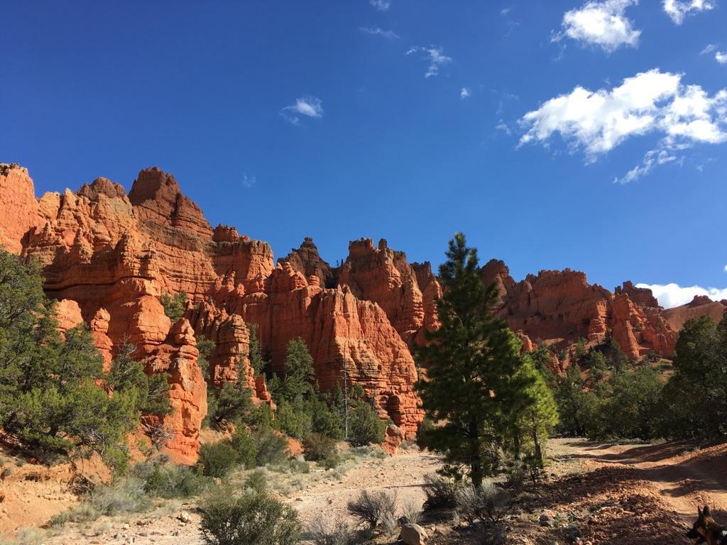 Towering red rock formations and green trees under a bright blue sky.