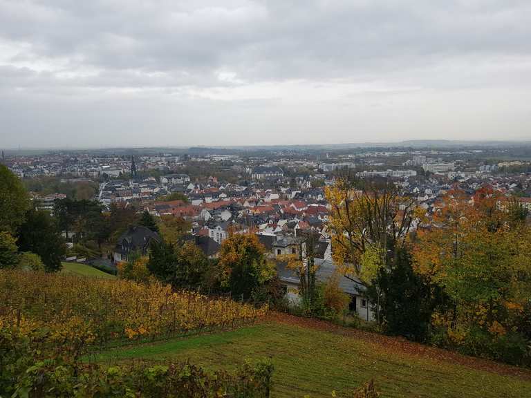 Panoramablick vom Johannisberg Wanderungen und Rundwege komoot