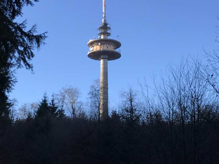 Hohe Wurzel Wanderungen und Rundwege komoot