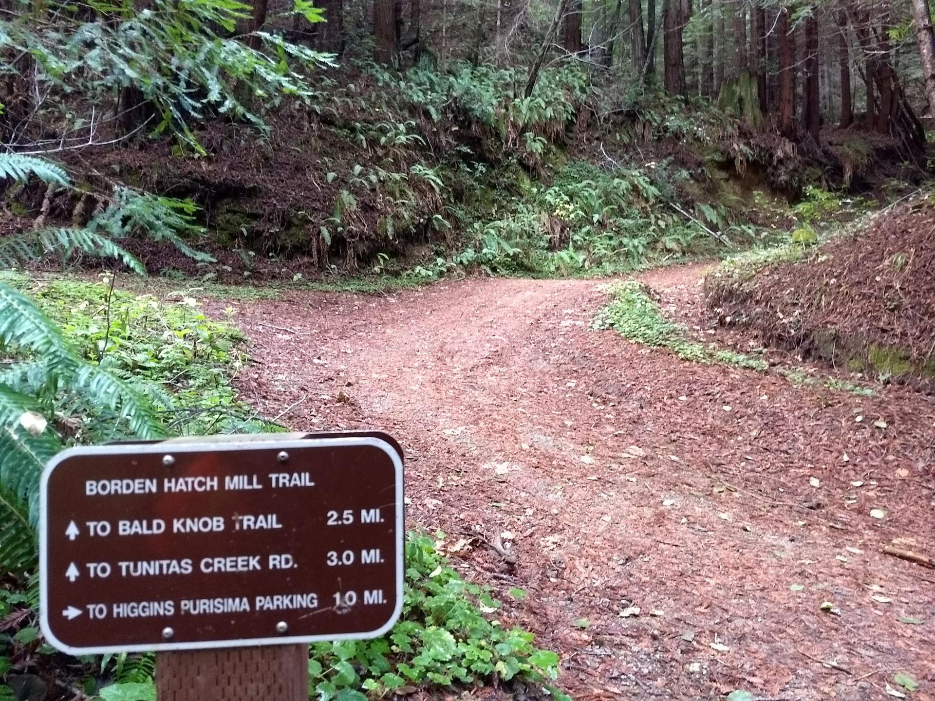 A trail sign at a fork in a dirt path surrounded by dense forest.
