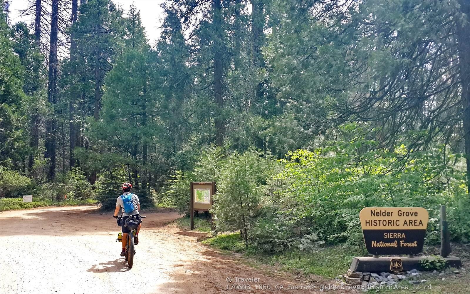 Person on a bicycle on a dirt road near a forest sign, sunny day.