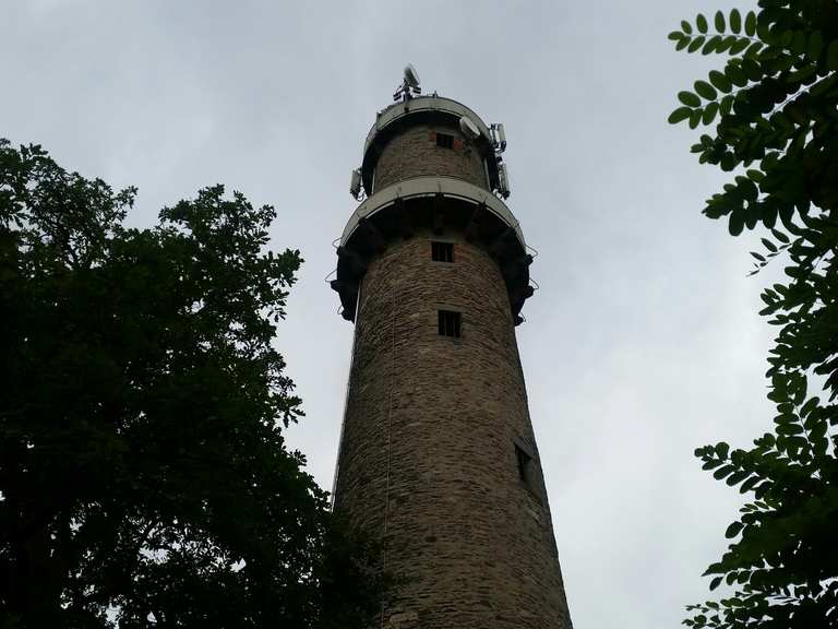 Buchberggrill Routes for Walking and Hiking | Komoot