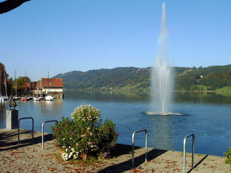 Großer Alpsee bei Immenstadt: Wanderungen und Rundwege | komoot