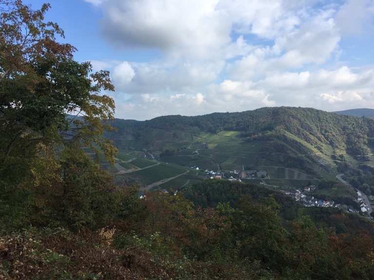 Komoot-Vorschau: Aussicht auf Mayschoß – Wander- & Radrouten | Komoot