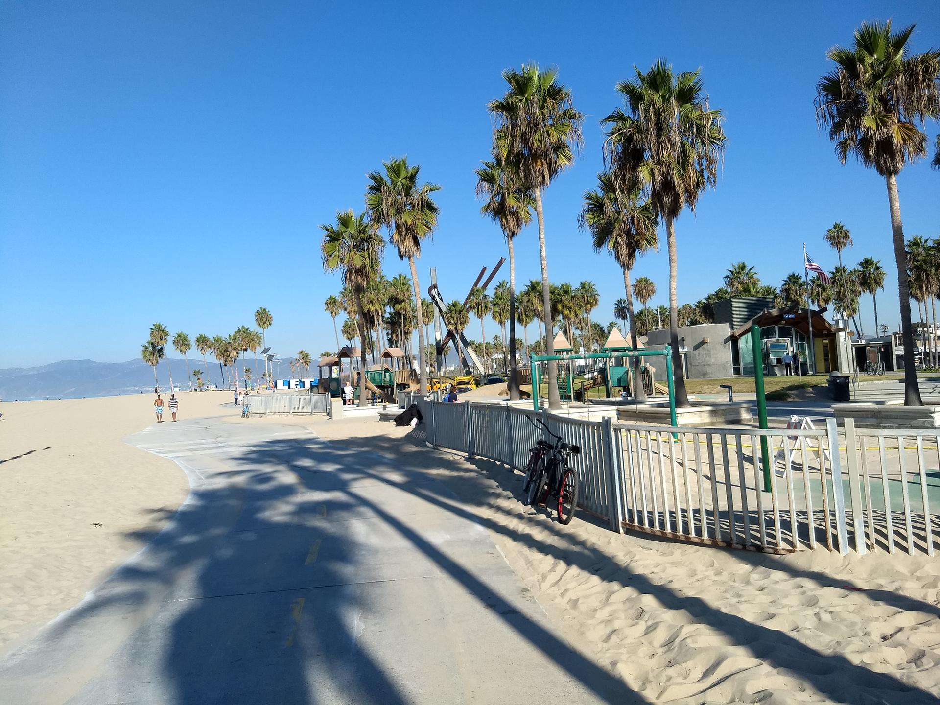 Sunny beach path lined with palm trees and distant beachgoers.