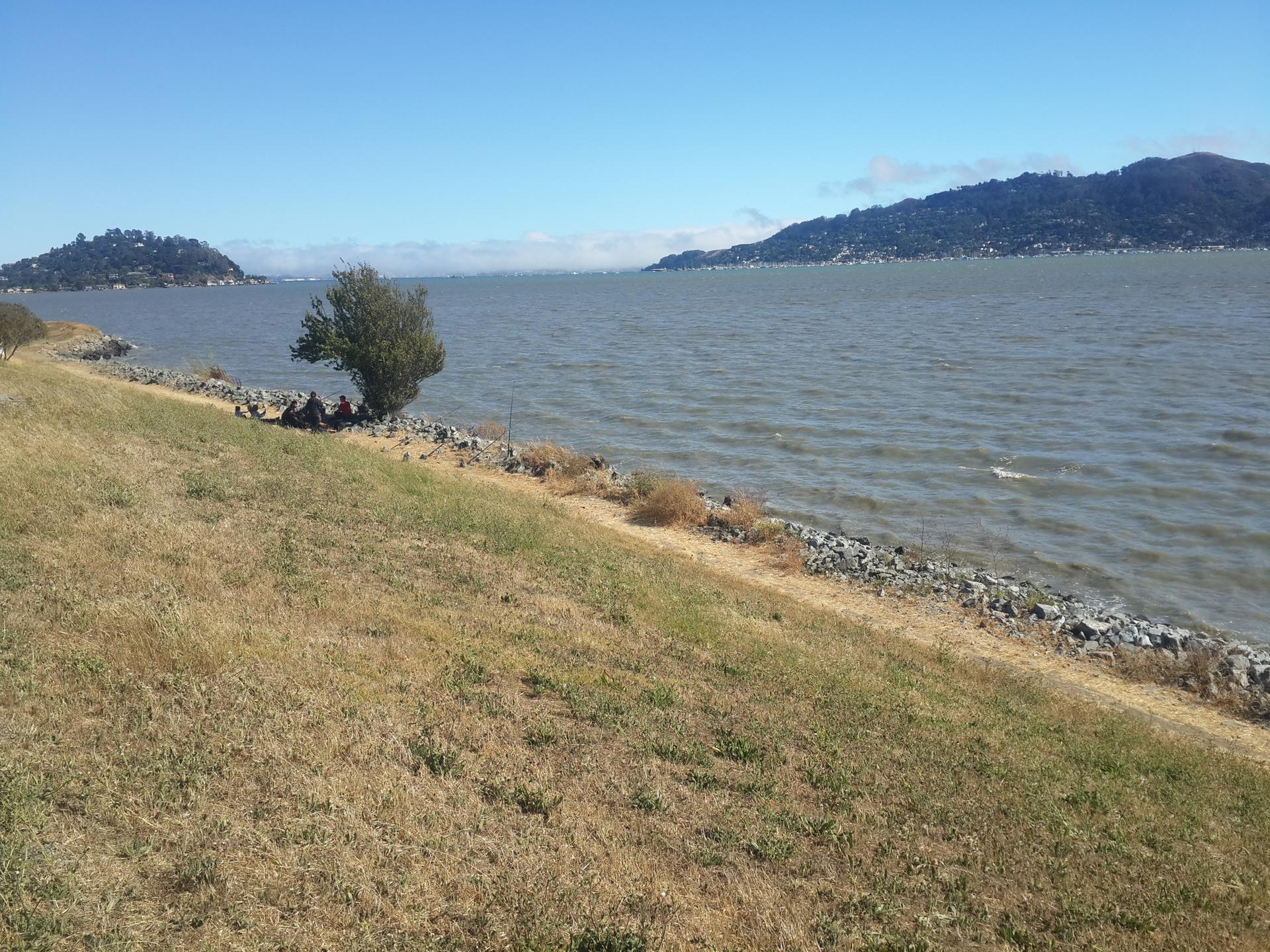 Dry grassy slope leading to a rocky shoreline and calm water.