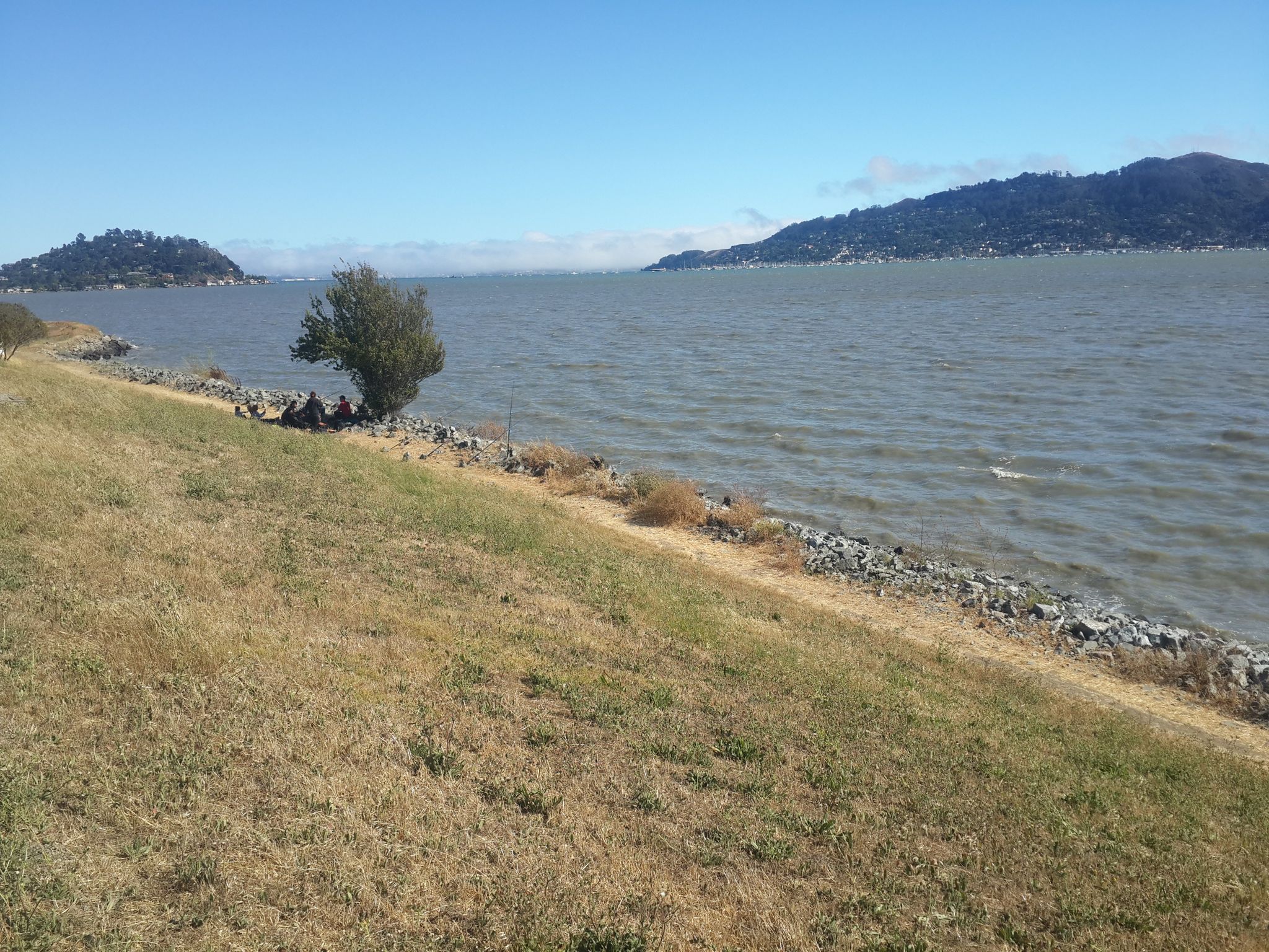 Dry grassy slope leading to a rocky shoreline and calm water. - Richardson Bay Park loop from Tiburon