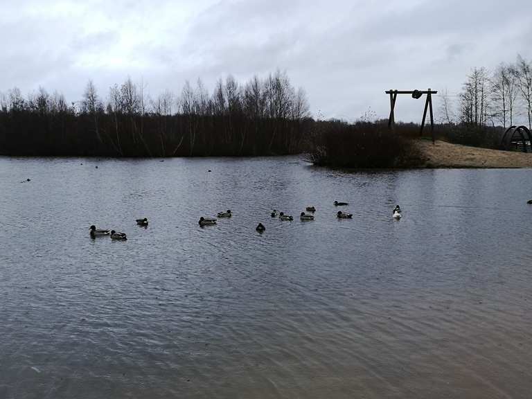 Dreiländersee Wanderungen und Rundwege komoot