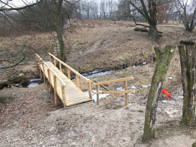 Löwenzahnpfad im NSG Schönerlinder Teiche Wanderungen und Rundwege