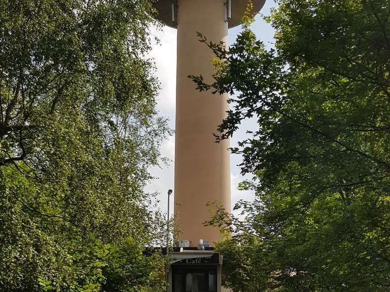 Hoher Hagen Gausturm Wanderung Wanderungen und Rundwege komoot