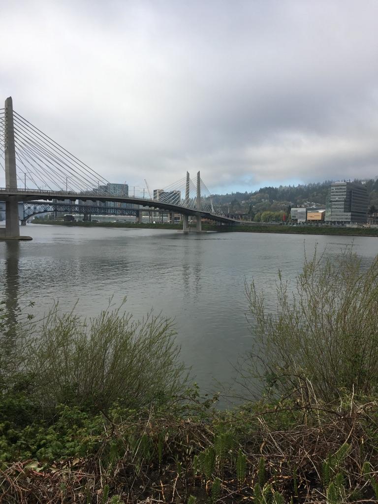 A wide river with a cable-stayed bridge under a cloudy sky.