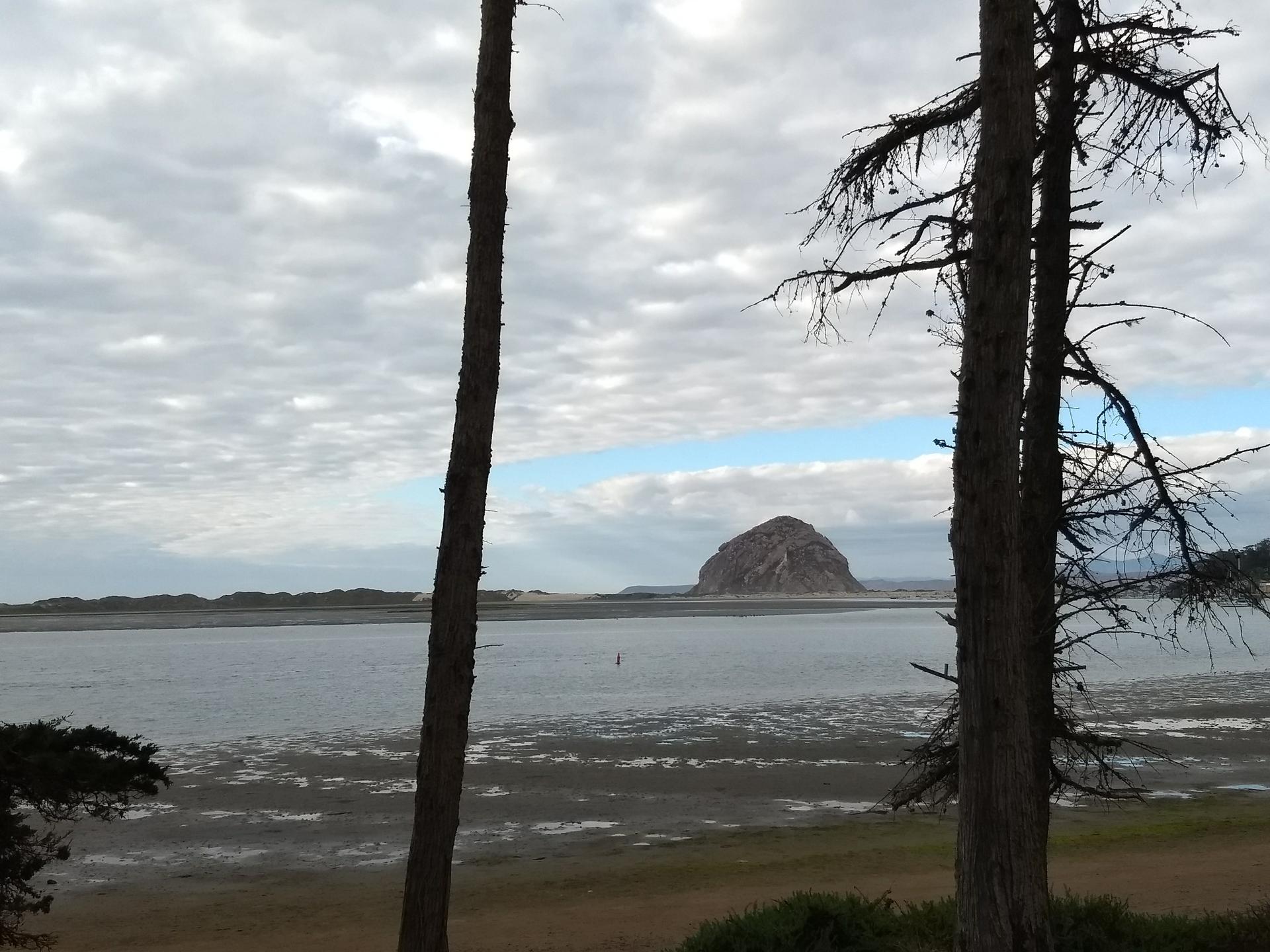 Large rock formation in water, framed by two tall trees, cloudy sky.