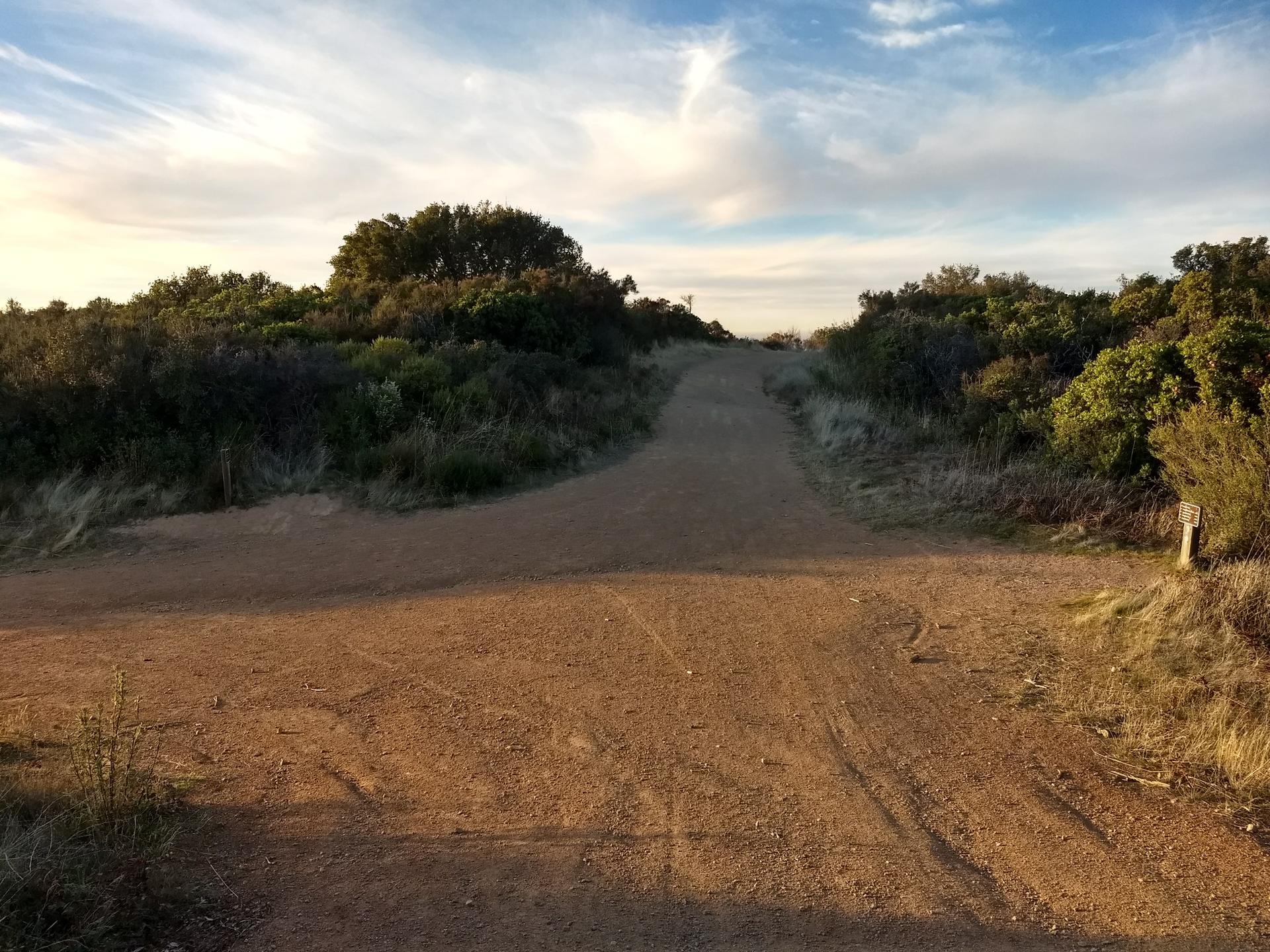 A dirt road forks into two paths amidst dry, bushy hills.