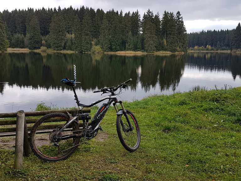 Bärenbrucher Teich MountainbikeTouren und Trails komoot