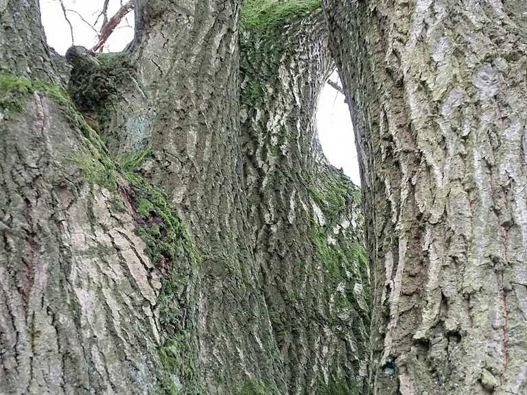 Naturschutzgebiet Höltigbaum Hamburg, Deutschland Wandertipps