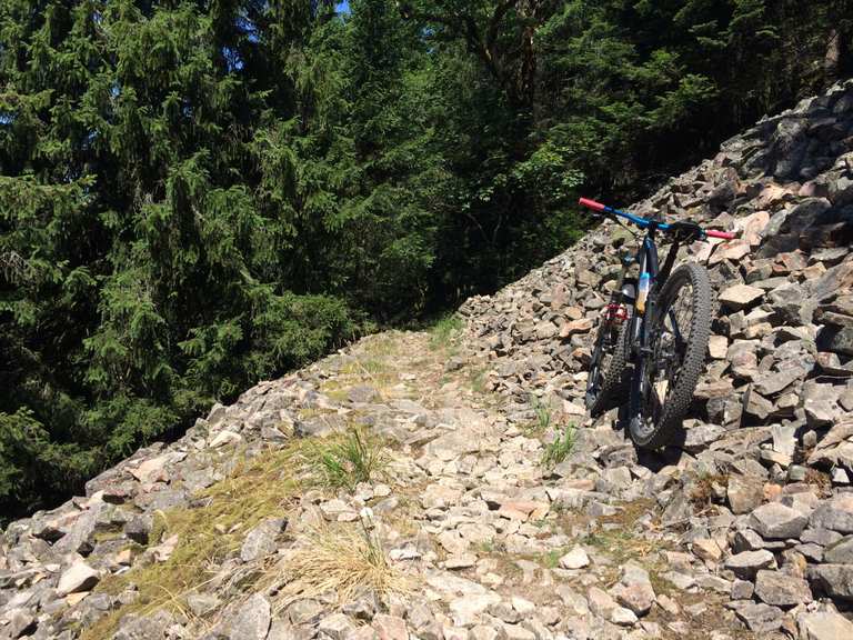 mtb schwarzwald singletrails