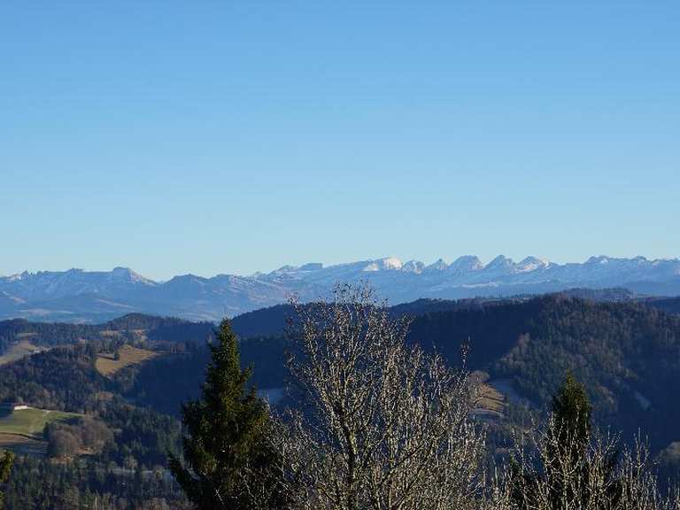 Hörnli Wanderungen und Rundwege komoot