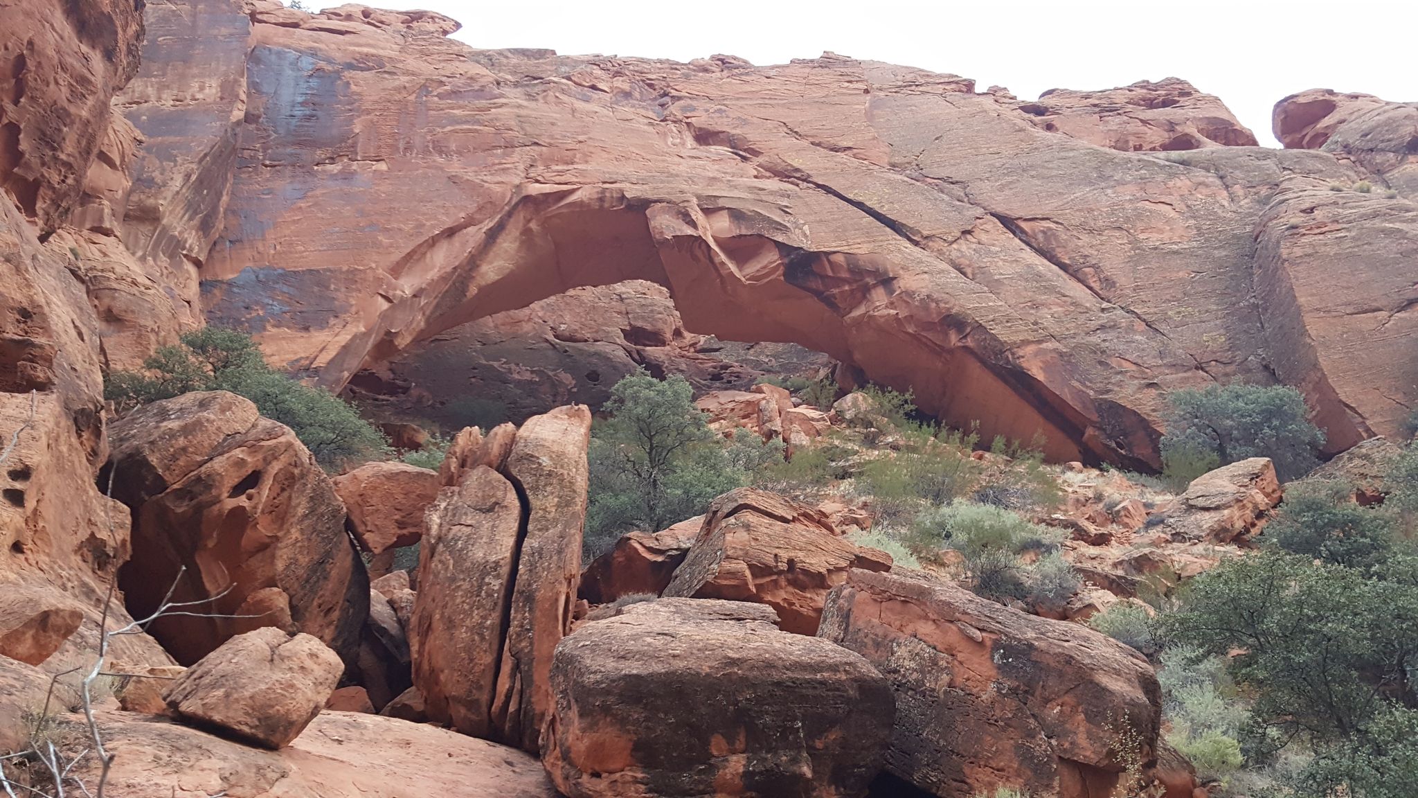 Vast red rock formations with an arch, sparse vegetation, under bright daylight. - Scout Cave and Johnson Canyon Loop