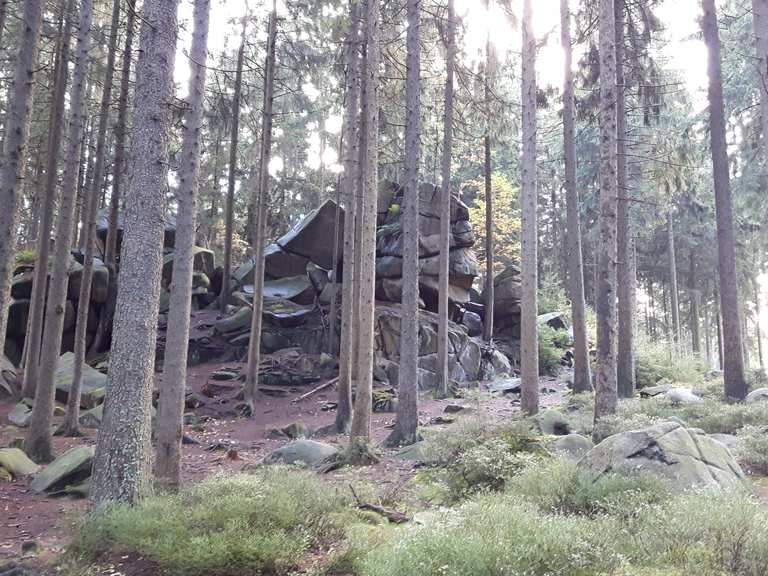 Mauseklippe Schierke Harz Hiking Tips Photos Komoot
