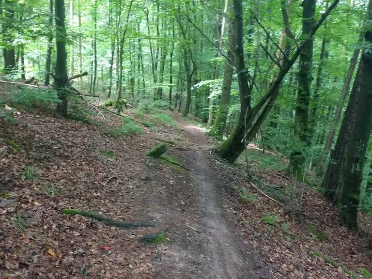singletrails ludwigsburg