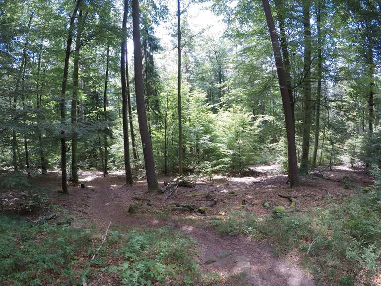 Hermannsruh Aussicht Geiler Trail Loop from Pirmasens Hbf mountain