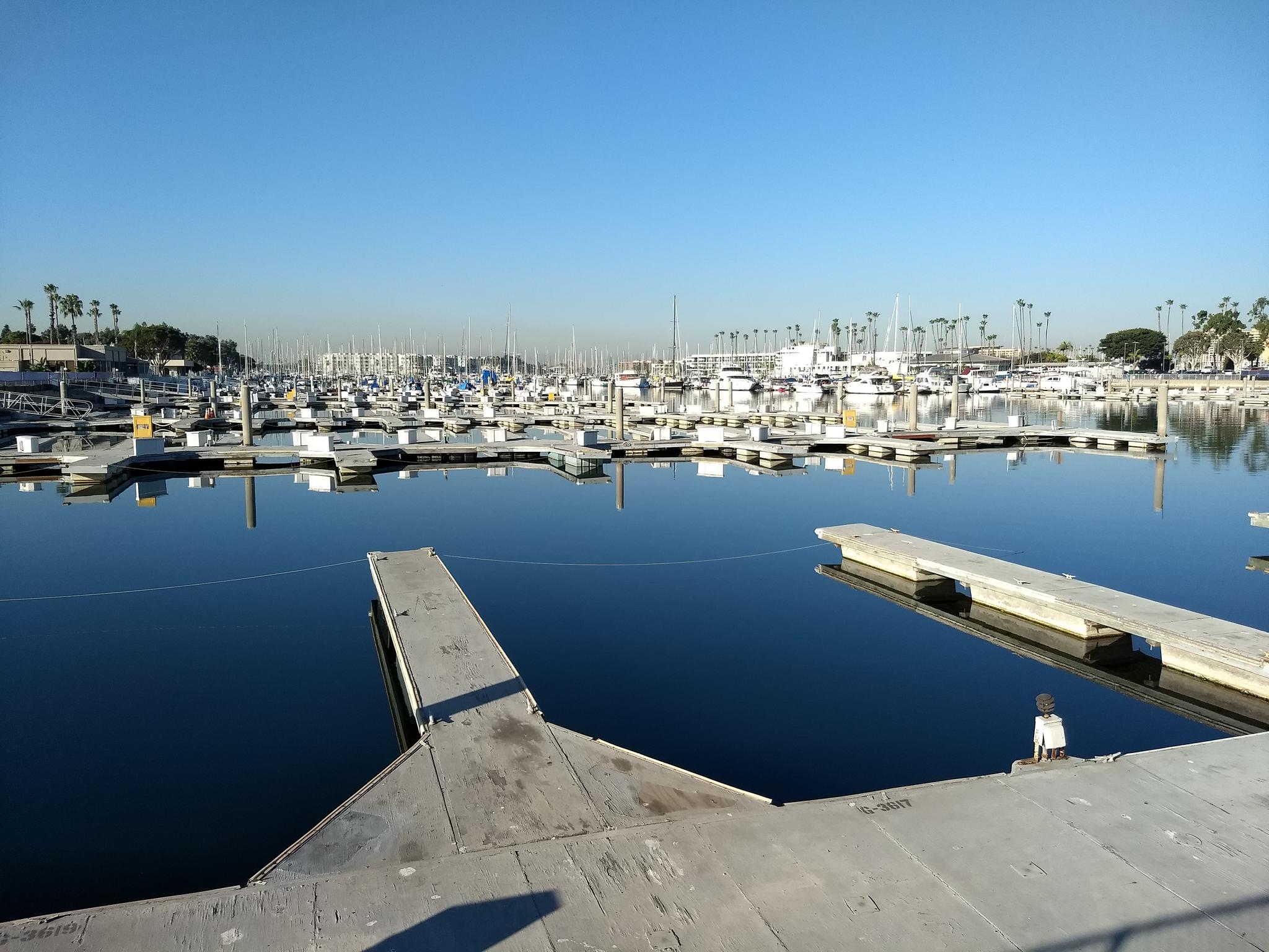 Marina filled with boats docked in calm water under a clear blue sky.