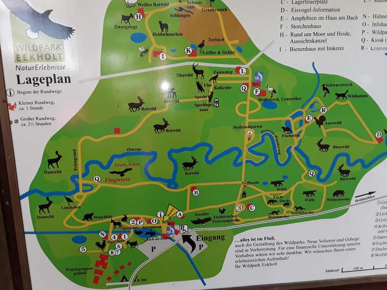 Wildpark Eekholt: Wanderungen und Rundwege | komoot