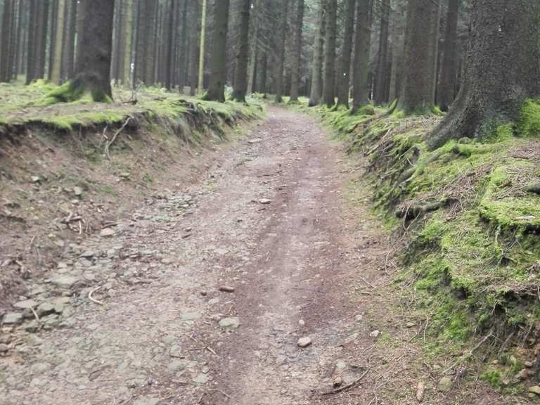 komoot mountain bike