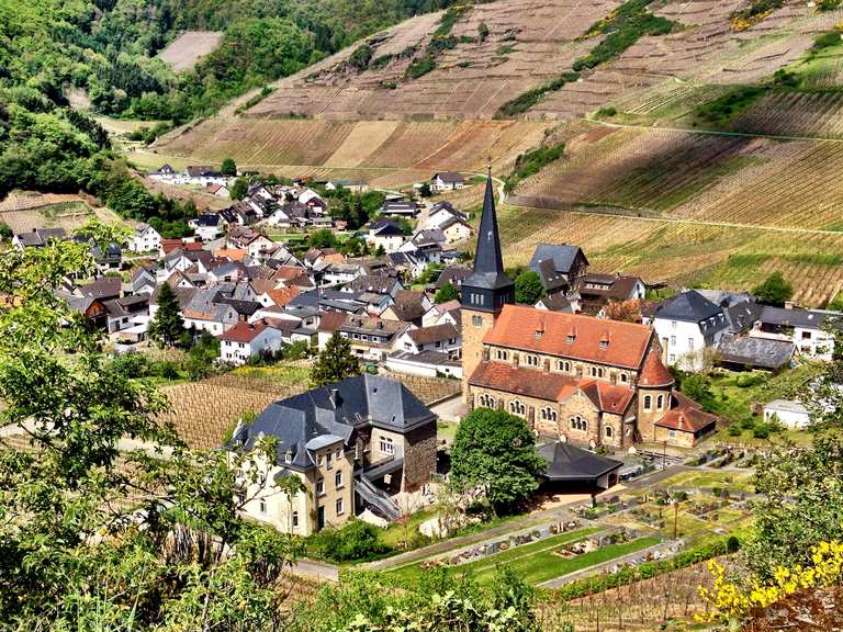 Blick auf Mayschoß: Wanderungen und Rundwege | komoot