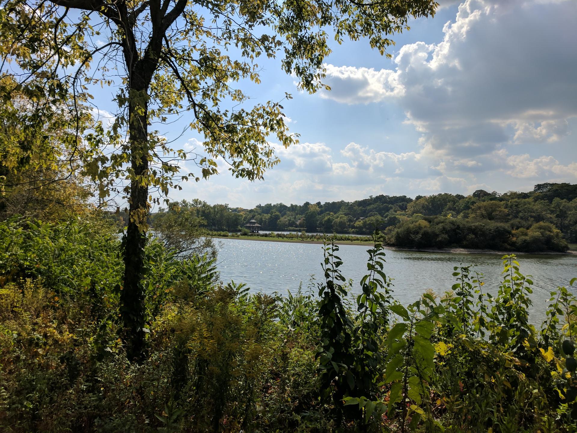 View of a wide river through dense green foliage under a cloudy sky.