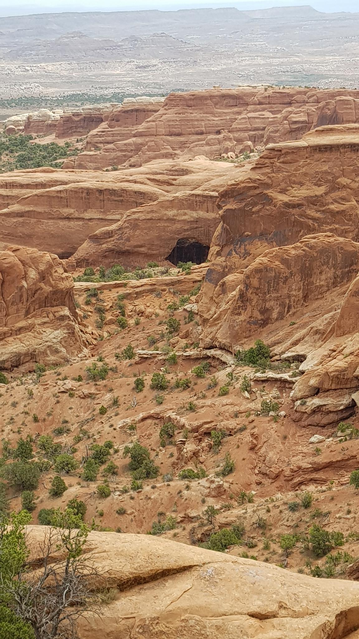 Vast desert canyon with red rock formations and sparse greenery.