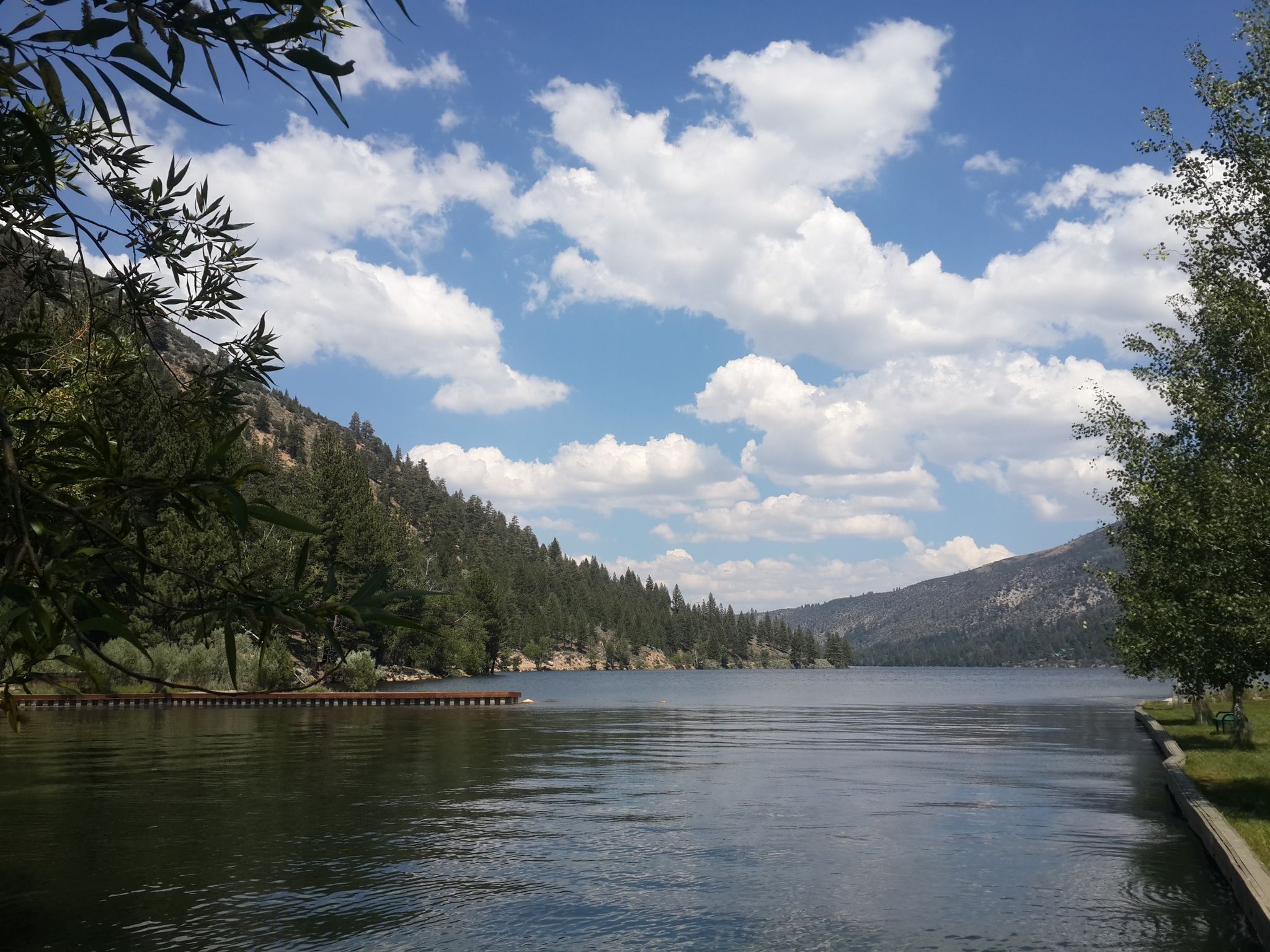 Wide lake surrounded by forested hills under a bright, cloudy sky, with a dock. - Barney Lake via Robinson Creek Trail
