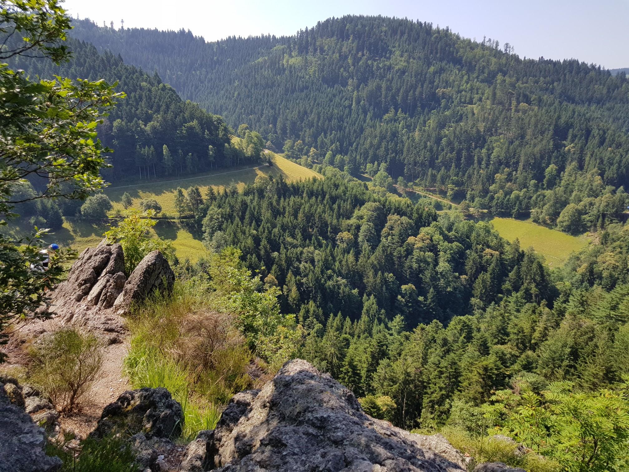 Wanderung Auf Dem Karlsruher Grat – Wandern Im Schwarzwald