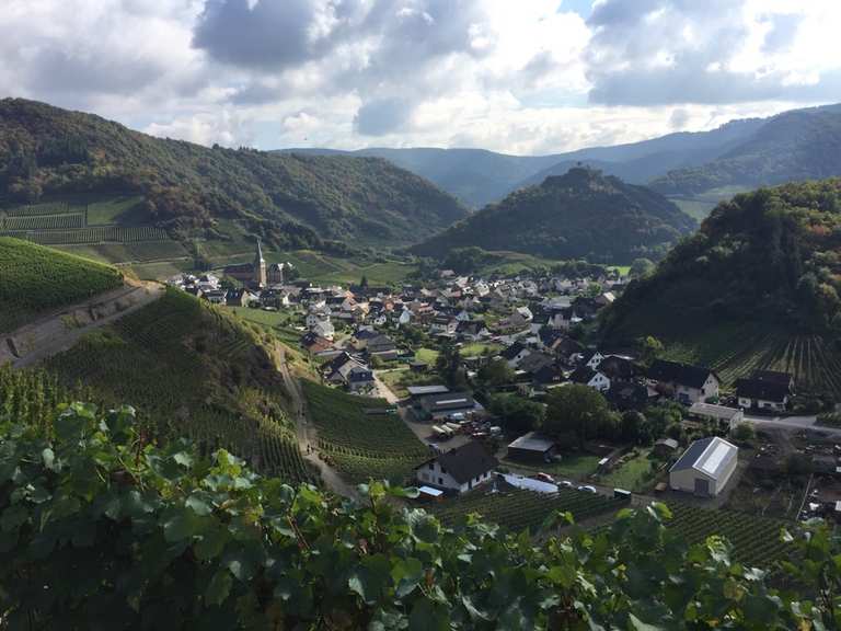 Blick auf Mayschoß: Wanderungen und Rundwege | komoot