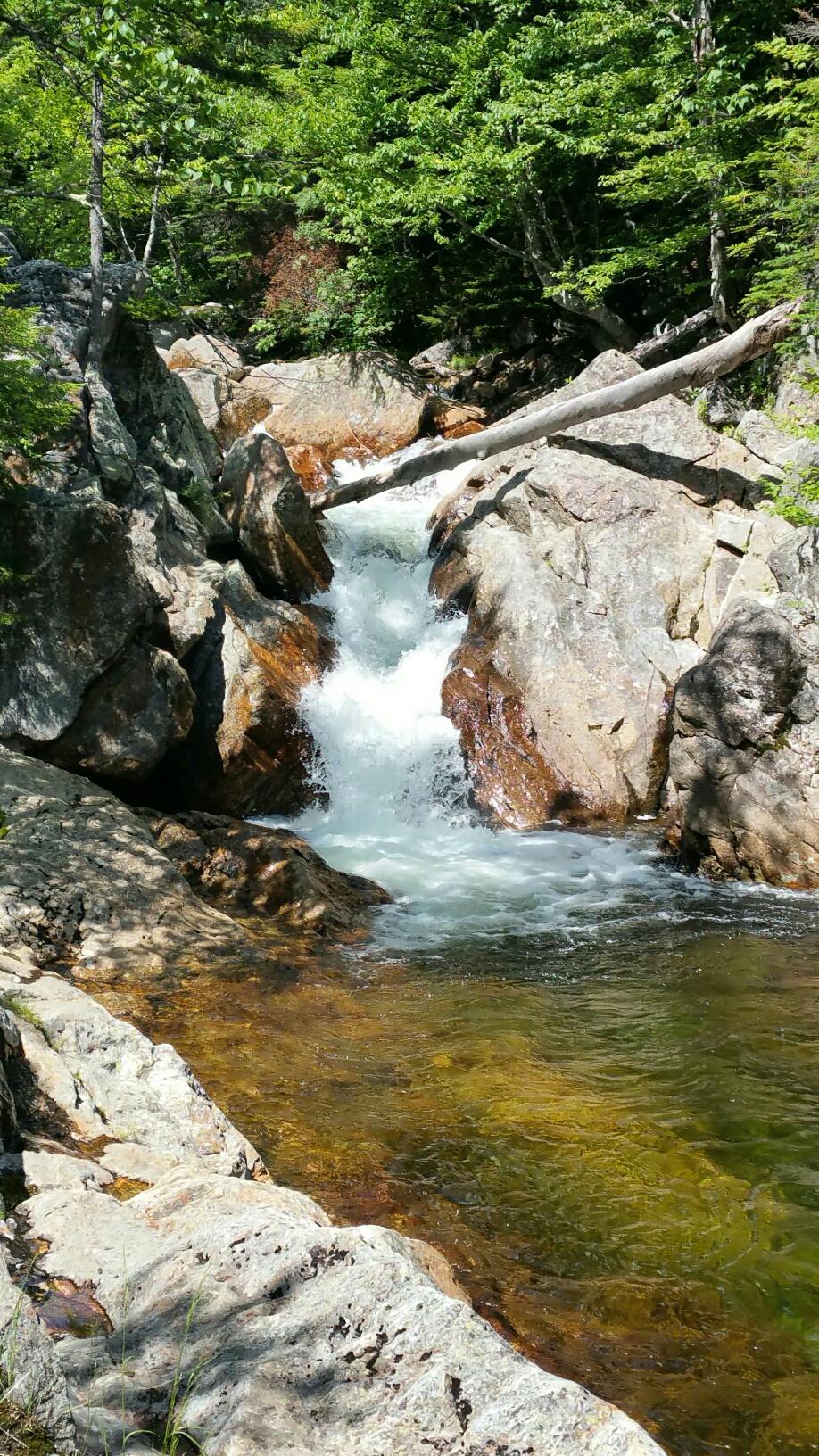A sunlit waterfall cascades over rocks into a clear stream surrounded by green trees.