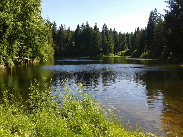 Ochsenbacher Teich Mountain Bike Trails & Tracks Komoot