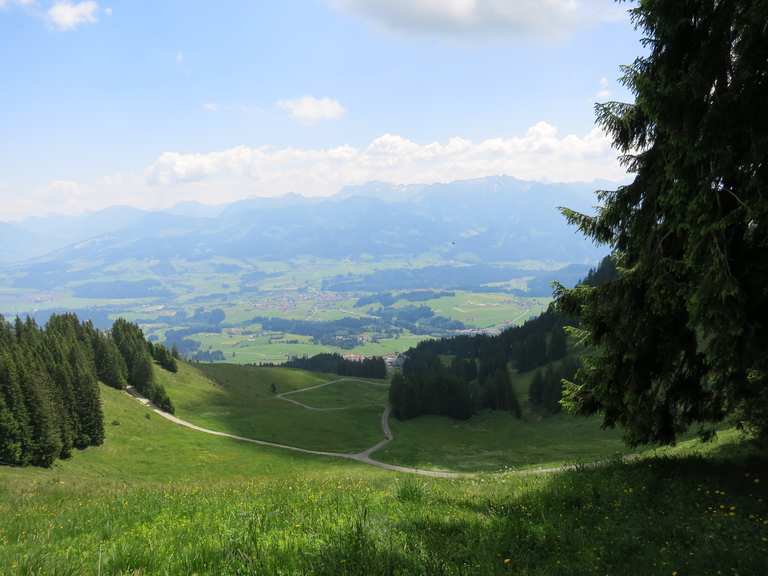 Weiherkopf mit Gipfelkreuz Wanderungen und Rundwege komoot