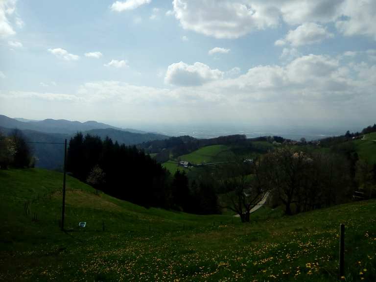 Geiersnest Martinstor Runde von FreiburgHerdern