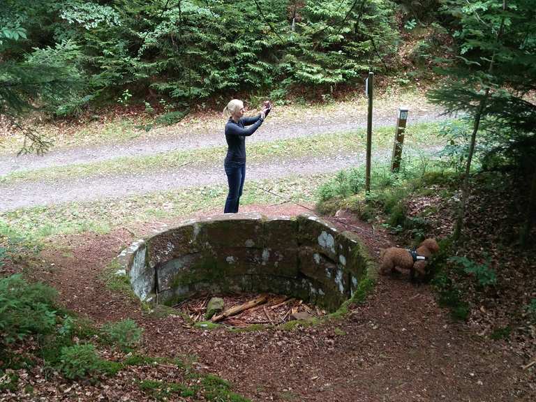 Wolfsgrube Wanderungen und Rundwege komoot