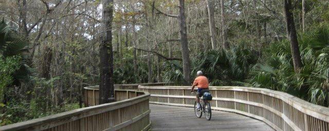 A person cycles on a winding wooden boardwalk through a lush forest.
