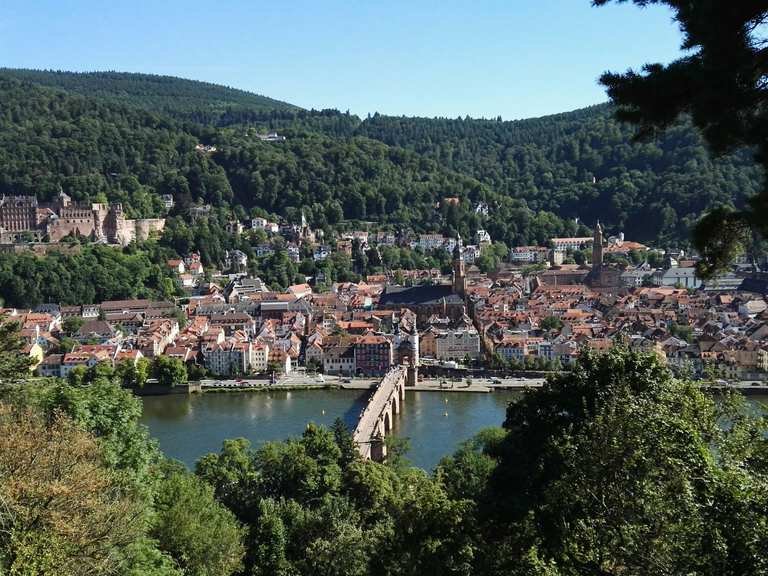 Philosophenweg Heidelberg Routes for Walking and Hiking | Komoot