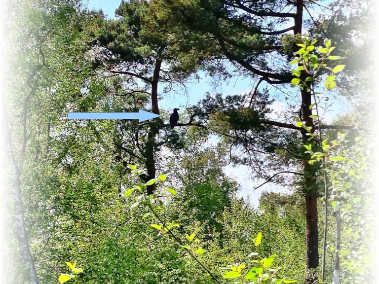 Tister Bauernmoor fietsroutes en kaart | Komoot