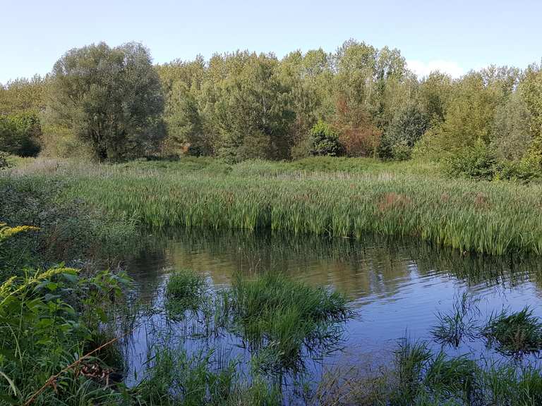 Untersee im NSG Hönower Weiherkette Routes for Walking and Hiking Komoot