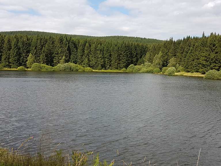 Zankwieser Teich Wanderungen und Rundwege komoot