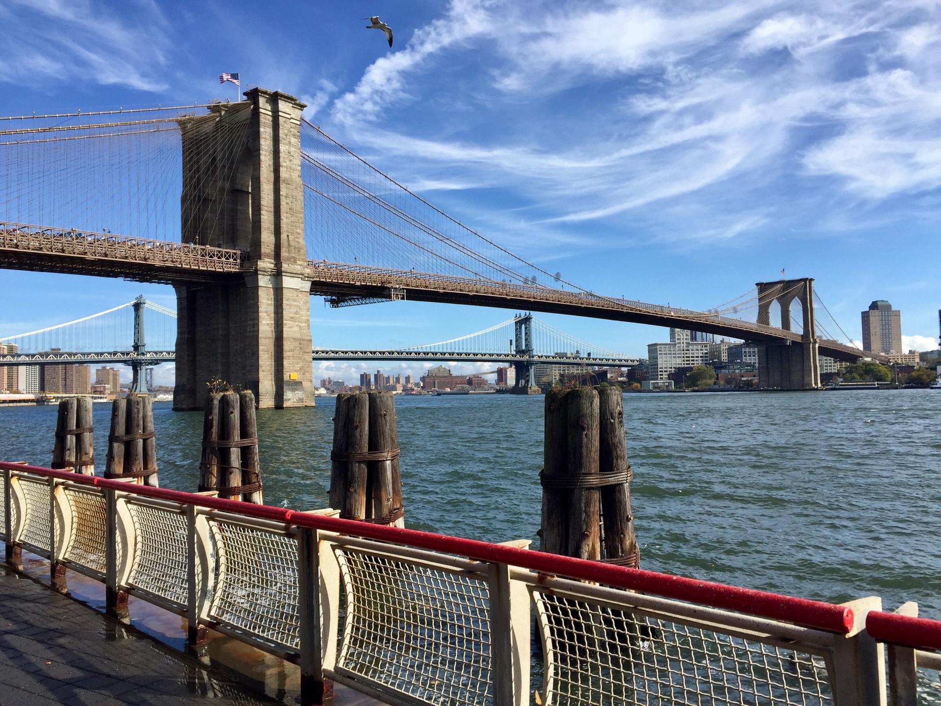 Two large suspension bridges over water with a city skyline, sunny day.